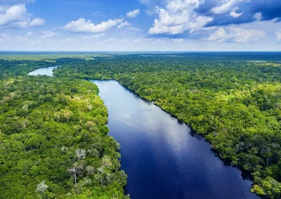 amazon rainforest