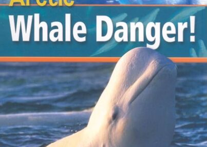 61OUk-6kCwL._AC_UF1000,1000_QL80_