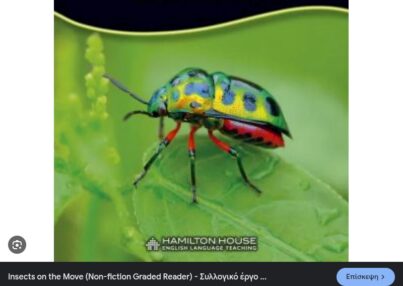 Screenshot_2025-01-27-15-21-12-796